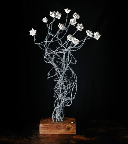 Roses and Razorwire